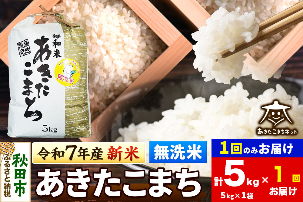 《令和7年産 新米受付》あきたこまち 清流米 5kg 【無洗米】秋田市雄和産