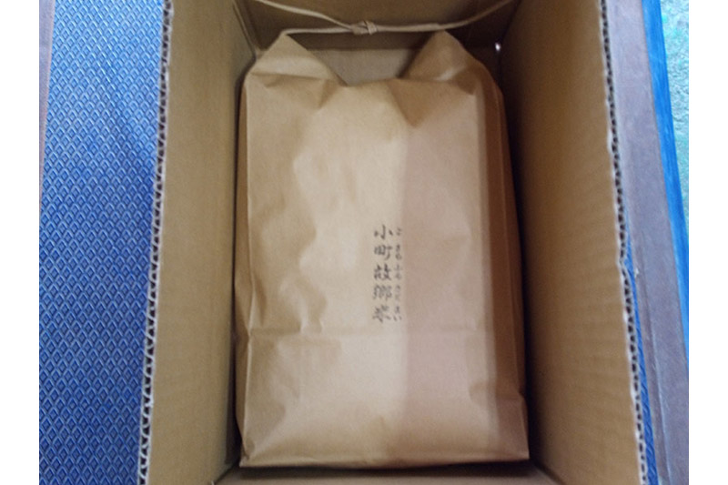 米 こまち故郷米 ＜ あきたこまち ＞ 白米 10kg (5kg×2袋) 令和7年産 [米 白米 あきたこまち 秋田県 秋田市]