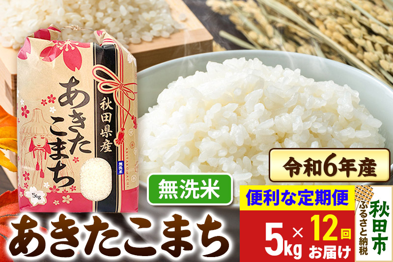 《定期便12ヶ月》 あきたこまち 5kg 令和6年産 新米 【無洗米】秋田県産