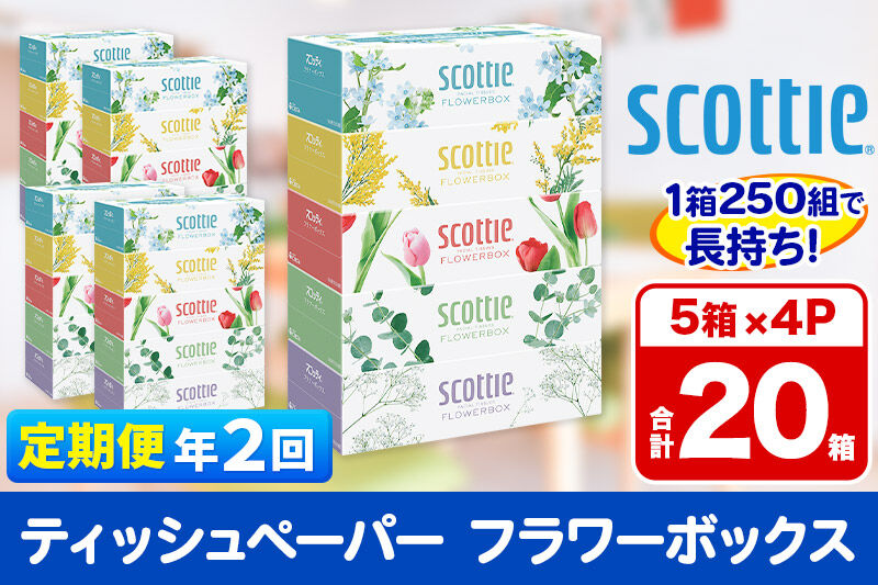《6ヶ月ごとに2回お届け》定期便 ティッシュペーパー スコッティ フラワーボックス250組 20箱(5箱×4パック) ティッシュ 秋田市オリジナル 新生活 [ティッシュ ボックスティッシュ 定期便 新生活]