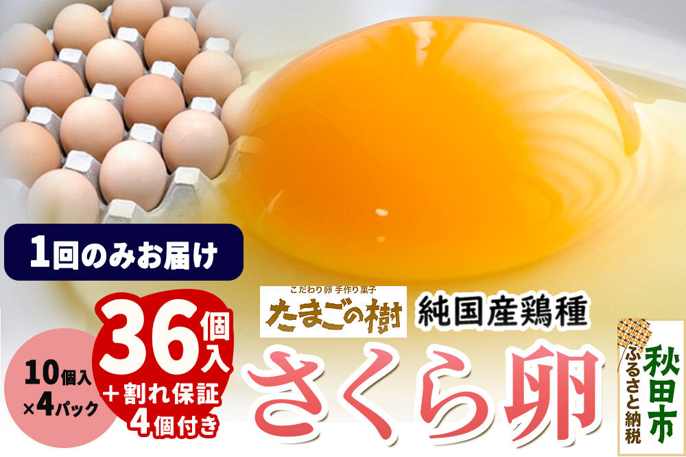 たまごの樹 純国産鶏種 卵『さくら』36個+割れ保証4個付き（10個入×4パック） [たまご タマゴ 玉子 鶏卵 まとめ買い オムレツ 卵かけご飯 朝食 料理 美味しい 瀧田養鶏場]