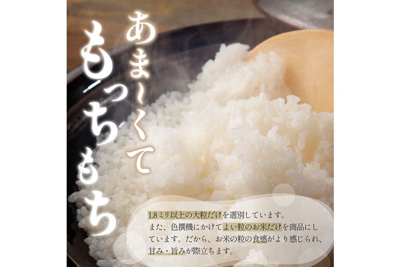 令和6年産 あきたこまちプレミアム 特別栽培米 10kg (5kg×2袋)