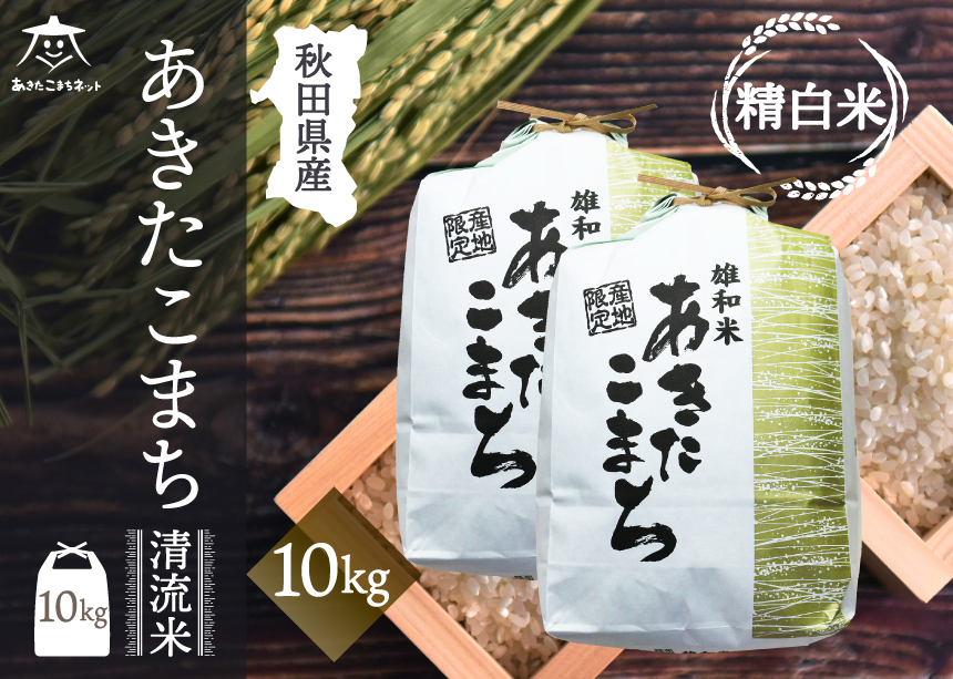 あきたこまち 清流米 10kg(5kg×2袋)【白米】 秋田市雄和産 [秋田県産 あきたこまち お米 精米]