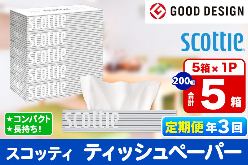 《4ヶ月ごとに3回お届け》定期便 ティッシュペーパー スコッティ ティシュー 5箱×1パック 秋田市オリジナル [ティッシュ ボックスティッシュ]