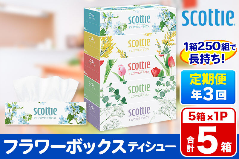 《4ヶ月ごとに3回お届け》定期便 ティッシュペーパー スコッティ ティシュー フラワーボックス 250組 5箱パック×1パック 秋田市オリジナル [ティッシュ ボックスティッシュ]