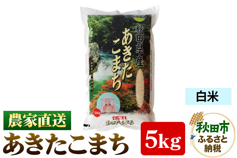 農家直送 あきたこまち 5kg 令和6年産 米 白米 田口商店