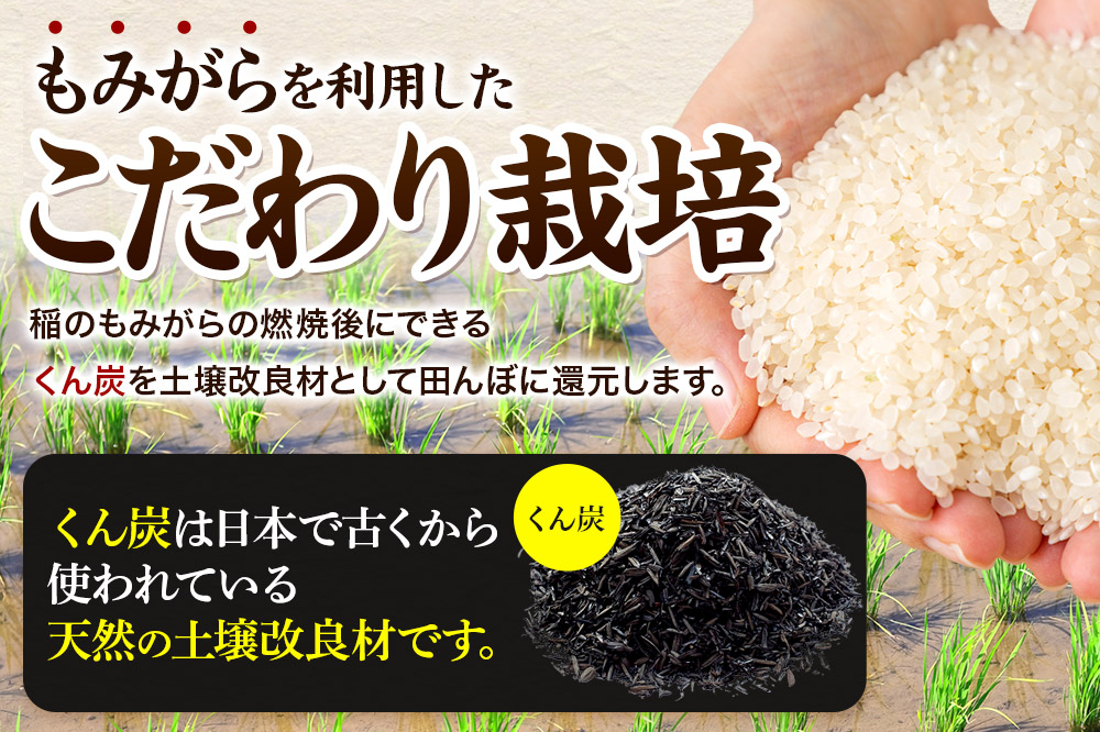 《令和7年産 新米》《定期便8ヶ月》 米 あきたこまち 10kg（5kg×2袋） 【白米】 秋田県産