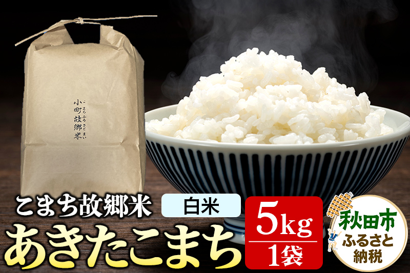米 こまち故郷米 ＜ あきたこまち ＞ 白米 5kg ×1袋 令和7年産 新米
