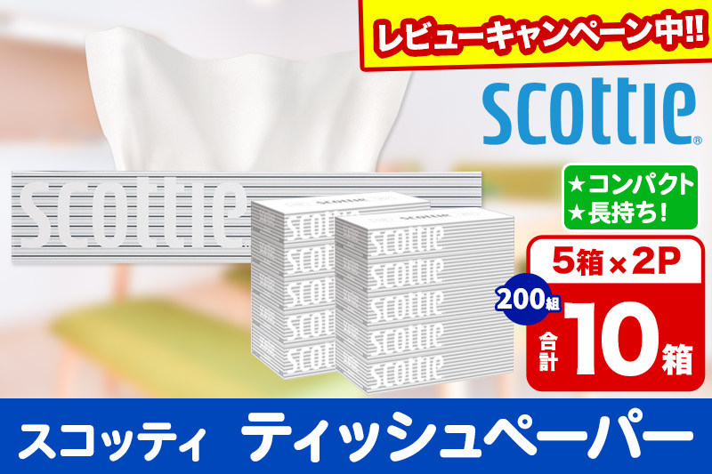 ティッシュペーパー スコッティ 200組 10箱(5箱×2パック) ティッシュ 秋田市オリジナル 【レビューキャンペーン中】