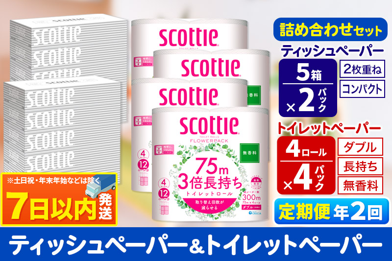 《6ヶ月ごとに2回お届け》定期便 トイレットペーパー スコッティ 3倍長持ち 無香料 4ロール(ダブル)×4P ＆ ティッシュペーパー スコッティ10箱(5箱×2P) 秋田市オリジナル