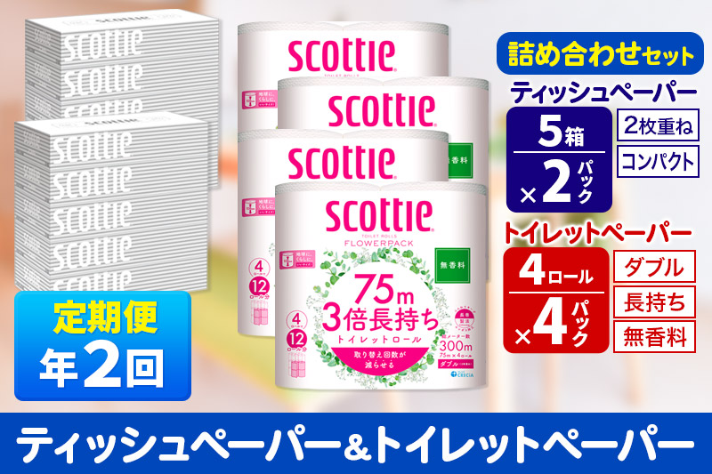 《6ヶ月ごとに2回お届け》定期便 トイレットペーパー スコッティ 3倍長持ち 無香料 4ロール(ダブル)×4P ＆ ティッシュペーパー スコッティ10箱(5箱×2P) 秋田市オリジナル【レビューキャンペーン中】