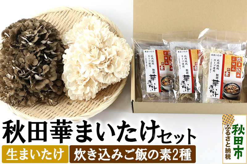 秋田華まいたけ 生まいたけと加工セット 黒まいたけ 約500g 白まいたけ 約500g 炊き込みご飯の素 黒×2パック 炊き込みご飯の素 白×1パック  舞茸