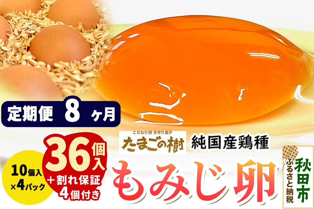 《定期便8ヶ月》 たまごの樹 純国産鶏種 卵『もみじ』36個+割れ保証4個付き（10個入×4パック） [たまご タマゴ 玉子 鶏卵 まとめ買い オムレツ 卵かけご飯 朝食 料理 美味しい 瀧田養鶏場]