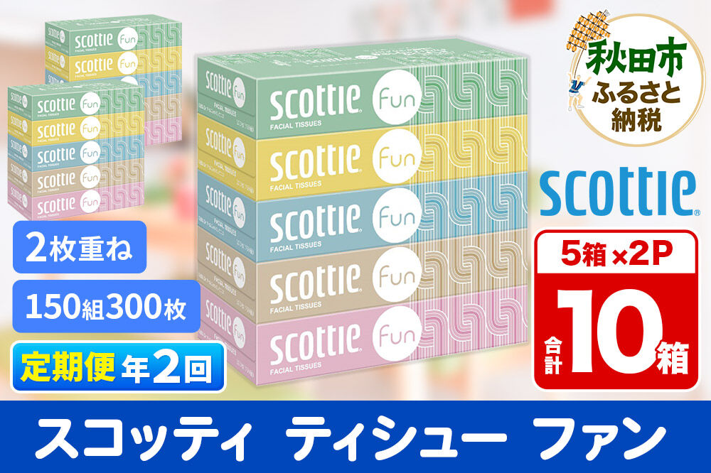 《6ヶ月ごとに2回お届け》定期便 ティッシュペーパー スコッティ ティシュー ファン 150組 5箱×2パック 秋田市オリジナル [ティッシュ ボックスティッシュ]