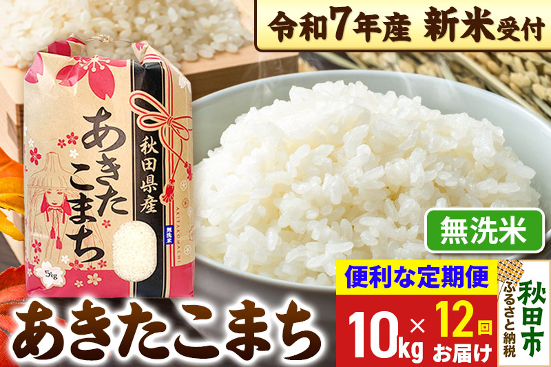 《令和7年産 新米受付》《定期便12ヶ月》 あきたこまち 10kg(5kg×2袋) 【無洗米】秋田県産 こまちライン