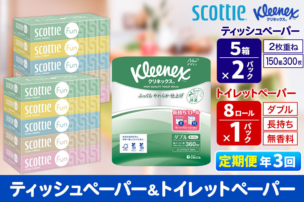《4ヶ月ごとに3回お届け》定期便 クリネックス トイレットペーパー 長持ちロール ダブル 8ロール×1パック ＆ ティッシュペーパー スコッティ ファン 150組 5箱×2パック 秋田市オリジナル 新生活 [トイレットペーパー ティッシュ ボックスティッシュ]