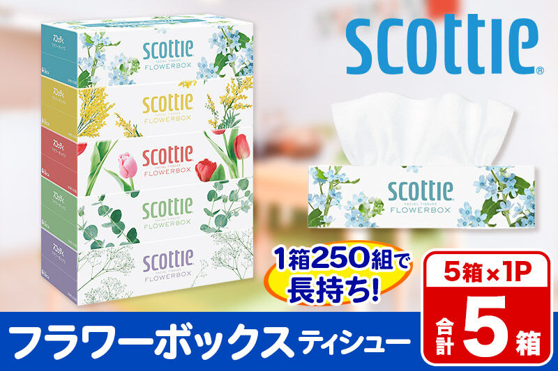 スコッティ ティッシュペーパー フラワーボックス 5箱×1パック 秋田市オリジナル [ティッシュ ボックスティッシュ]