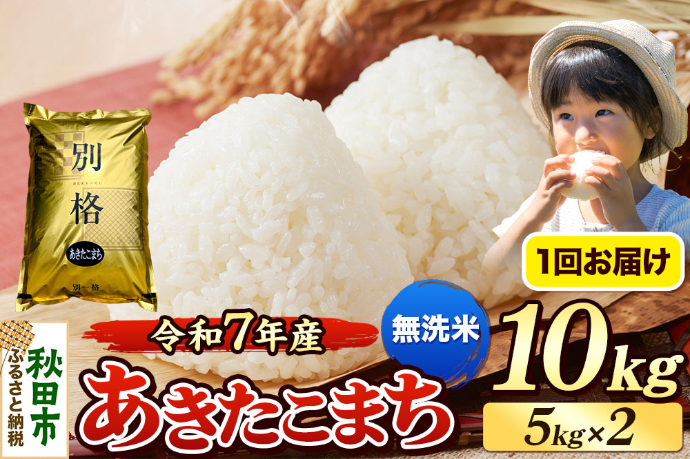 《令和7年産》 米 あきたこまち 10kg（5kg×2袋） 【無洗米】 秋田県産