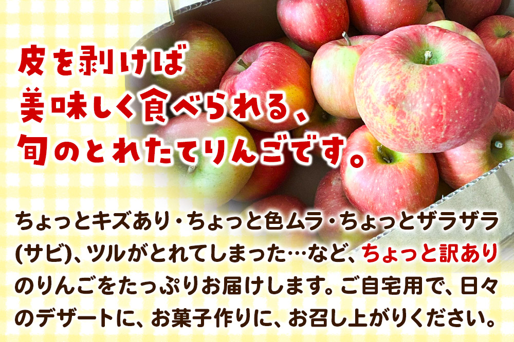 【訳あり】サンふじ 10kg りんご リンゴ 林檎【天抜き箱で発送】