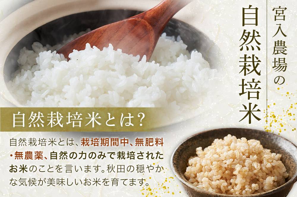 〈先行予約 令和7年産 新米〉自然栽培米「亀ノ尾」玄米10kg 天日干し 農薬・肥料不使用 