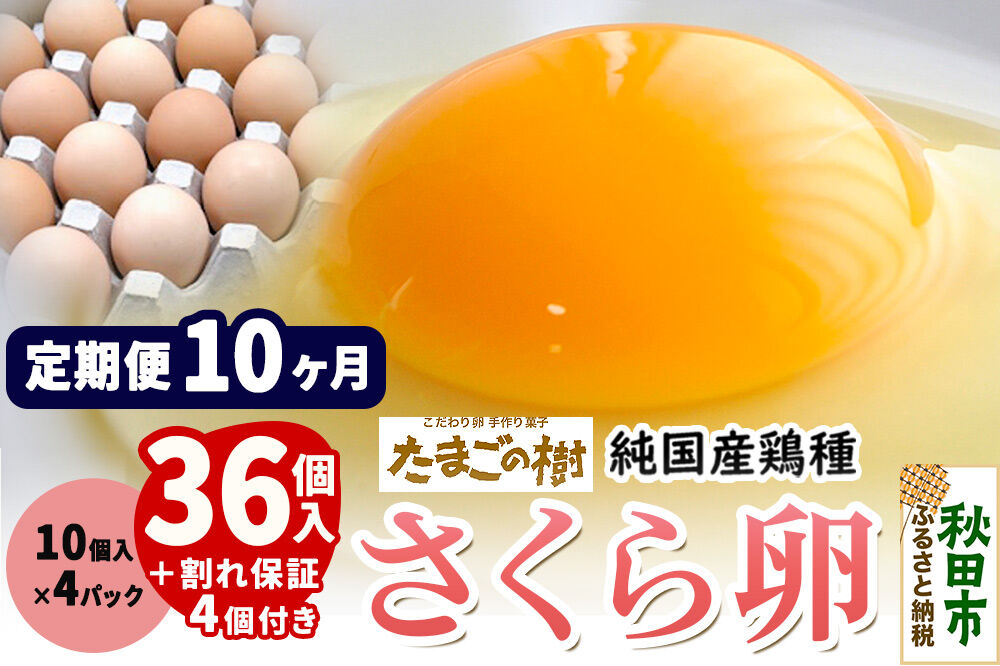 《定期便10ヶ月》 たまごの樹 純国産鶏種 卵『さくら』36個+割れ保証4個付き（10個入×4パック） [たまご タマゴ 玉子 鶏卵 まとめ買い オムレツ 卵かけご飯 朝食 料理 美味しい 瀧田養鶏場]
