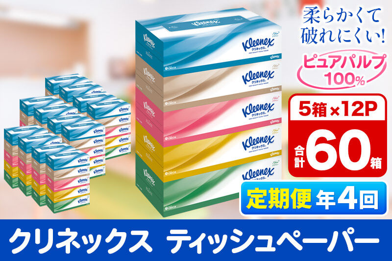 《3ヶ月ごとに4回お届け》定期便 ティッシュ クリネックス ティシュー 5箱×12パック [ティッシュ ボックスティッシュ 定期便]