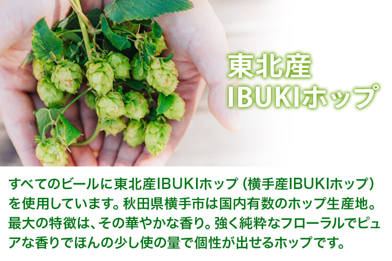 【秋田の地ビール】秋田あくらビール国際審査会受賞ビール5種×6本セット(330ml×計6本) クラフトビール 飲み比べ