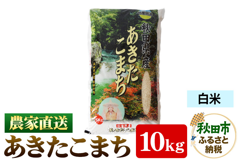 農家直送 あきたこまち 10kg 令和6年産 米 白米 田口商店