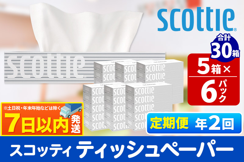 《6ヶ月ごとに2回お届け》定期便 ティッシュペーパー スコッティ 200組 30箱(5箱×6パック) ティッシュ レビューキャンペーン中 秋田市オリジナル