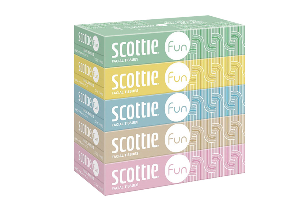 ã3ã¶æããšã«4åãå±ããå®æäŸ¿ ãã£ãã·ã¥ããŒã㌠ã¹ã³ãã㣠ãã£ã·ã¥ãŒ ãã¡ã³ 150çµ 5ç®±Ã2ãã㯠ç§ç°åžãªãªãžãã«