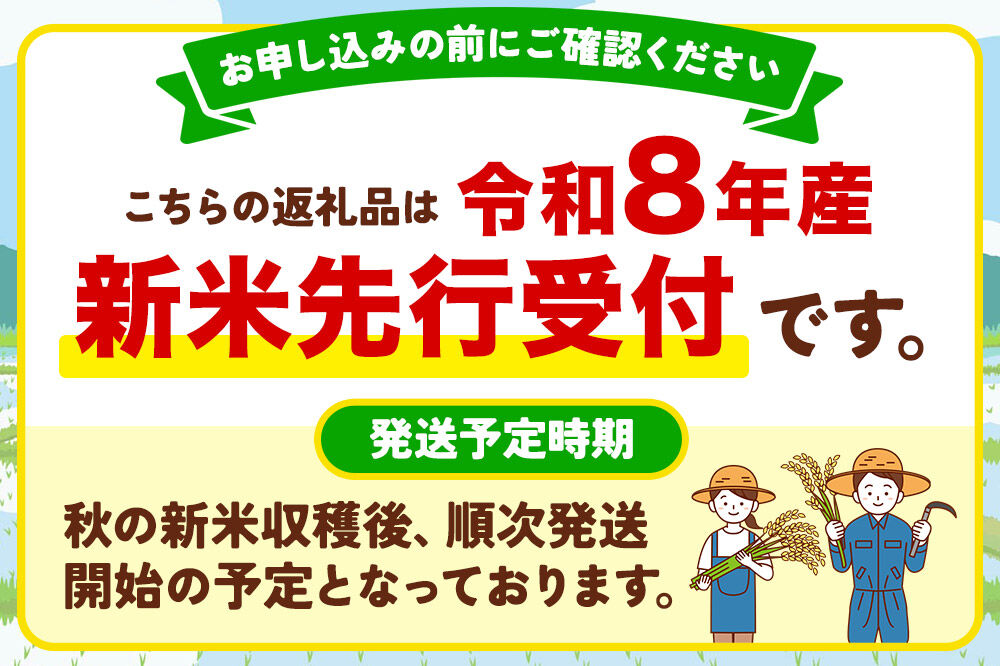 令和8年産 新米受付《定期便12ヶ月》あきたこまち 清流米 10kg（5kg×2袋）【無洗米】秋田県産 [秋田県産 あきたこまち お米 精米 小分け 定期便 5kg袋]