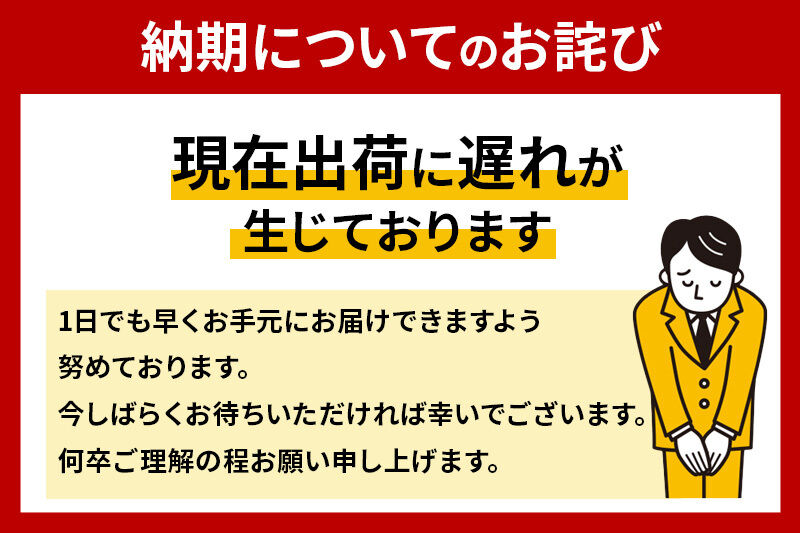 《6ヶ月ごとに2回お届け》定期便 ティッシュペーパー スコッティ フラワーボックス250組 54箱(3箱×18パック)  [ティッシュ ボックスティッシュ 定期便]