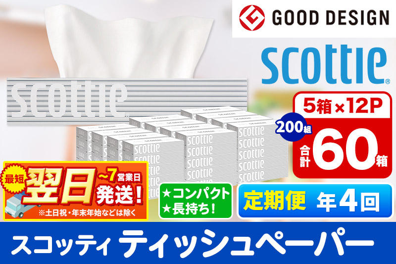 《3ヶ月ごとに4回お届け》定期便 ティッシュペーパー スコッティ 200組 60箱(5箱×12パック) ティッシュ 最短翌日発送