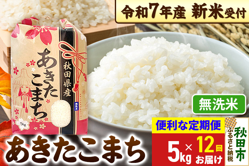 《令和7年産 新米受付》《定期便12ヶ月》 あきたこまち 5kg【無洗米】秋田県産 こまちライン