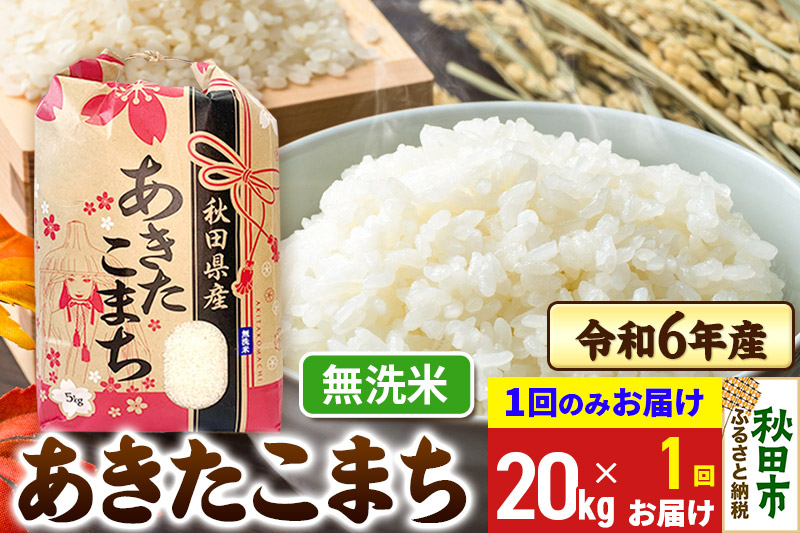 あきたこまち 20kg(5kg×4袋) 【1回のみお届け】 令和6年産 新米 【無洗米】秋田県産