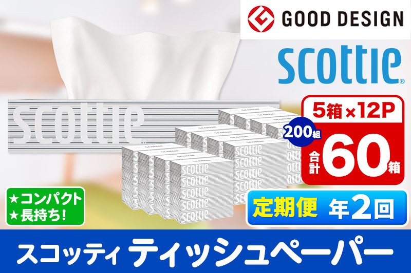 《6ヶ月ごとに2回お届け》定期便 ティッシュペーパー スコッティ 200組 60箱(5箱×12パック) ティッシュ【レビューキャンペーン中】