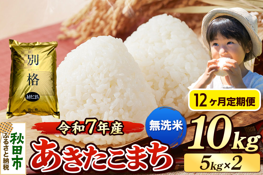 《令和7年産》《定期便12ヶ月》 米 あきたこまち 10kg（5kg×2袋） 【無洗米】 秋田県産