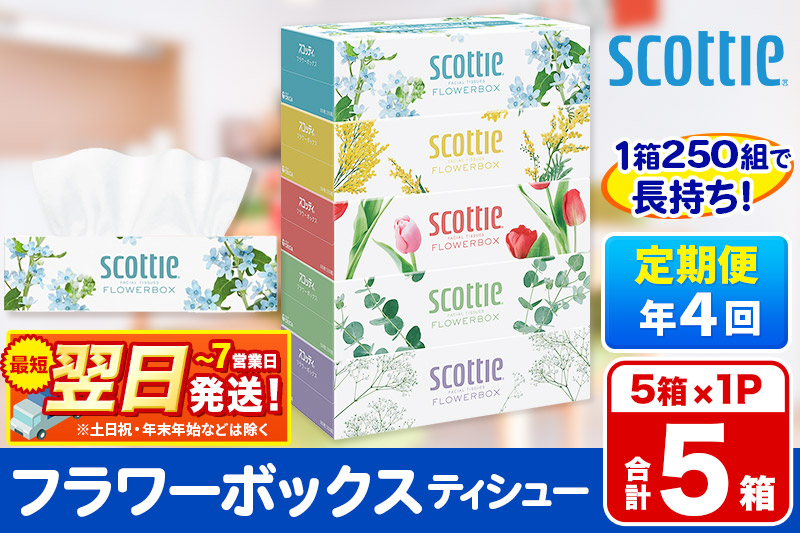 《3ヶ月ごとに4回お届け》定期便  ティッシュペーパー スコッティ ティシュー フラワーボックス 250組 5箱パック×1パック 秋田市オリジナル 最短翌日発送