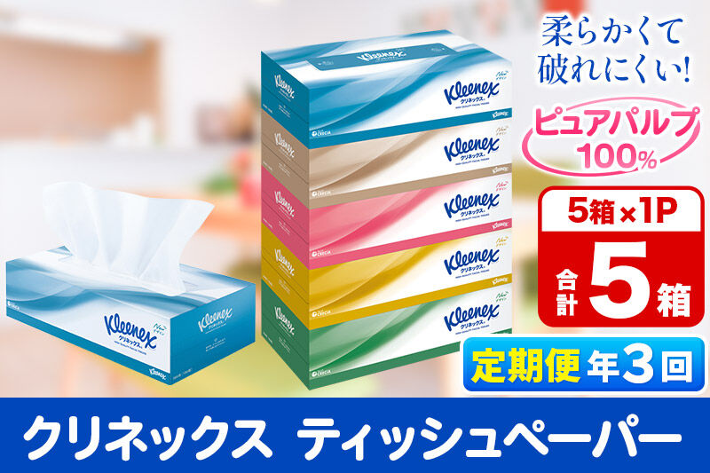 《4ヶ月ごとに3回お届け》定期便 ティッシュペーパー クリネックス ティシュー 5箱×1パック 秋田市オリジナル [ティッシュ ボックスティッシュ]