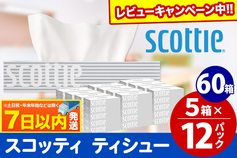 ティッシュペーパー スコッティ 200組 60箱(5箱×12パック) ティッシュ レビューキャンペーン中 日用品 7日以内発送