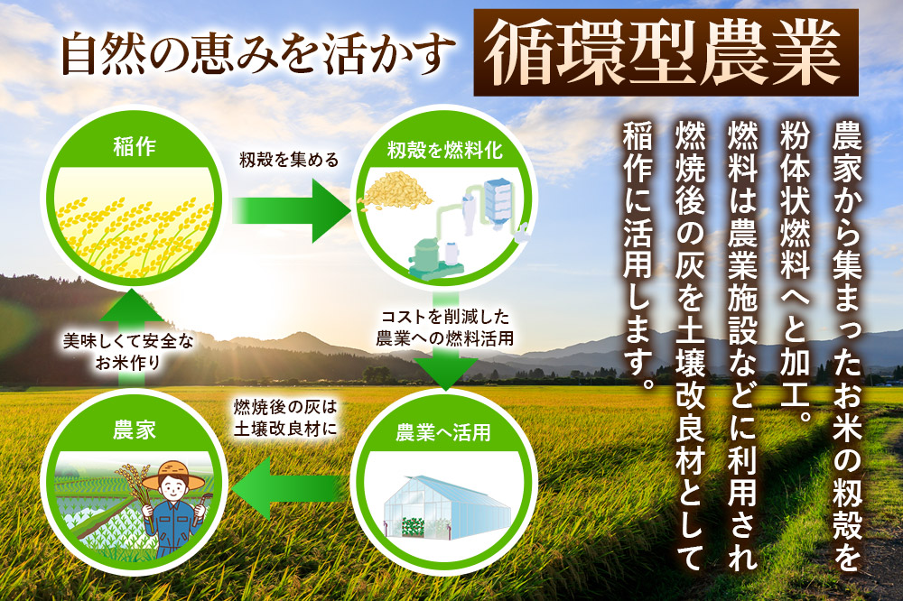 《令和7年産》《定期便8ヶ月》 米 あきたこまち 10kg（5kg×2袋） 【白米】 秋田県産