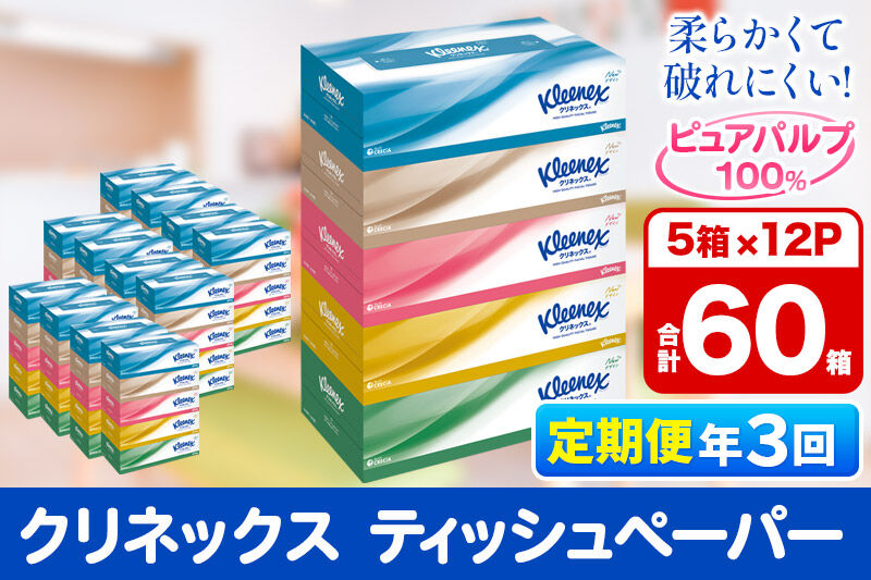 《4ヶ月ごとに3回お届け》定期便 ティッシュ クリネックス ティシュー 5箱×12パック [ティッシュ ボックスティッシュ 定期便]
