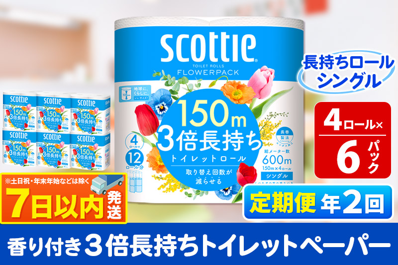 《6ヶ月ごとに2回お届け》定期便 トイレットペーパー スコッティ フラワーパック 3倍長持ち〈香り付〉4ロール(シングル)×6パック レビューキャンペーン中 秋田市オリジナル