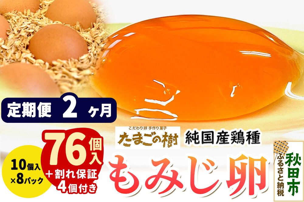 《定期便2ヶ月》 たまごの樹 純国産鶏種 卵『もみじ』76個+割れ保証4個付き（10個入×8パック） [たまご タマゴ 玉子 鶏卵 まとめ買い オムレツ 卵かけご飯 朝食 料理 美味しい 瀧田養鶏場]