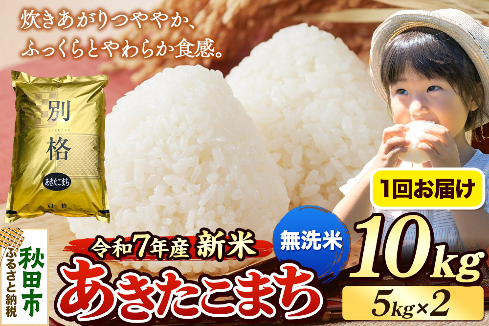 《令和7年産 新米》 米 あきたこまち 10kg（5kg×2袋） 【無洗米】 秋田県産