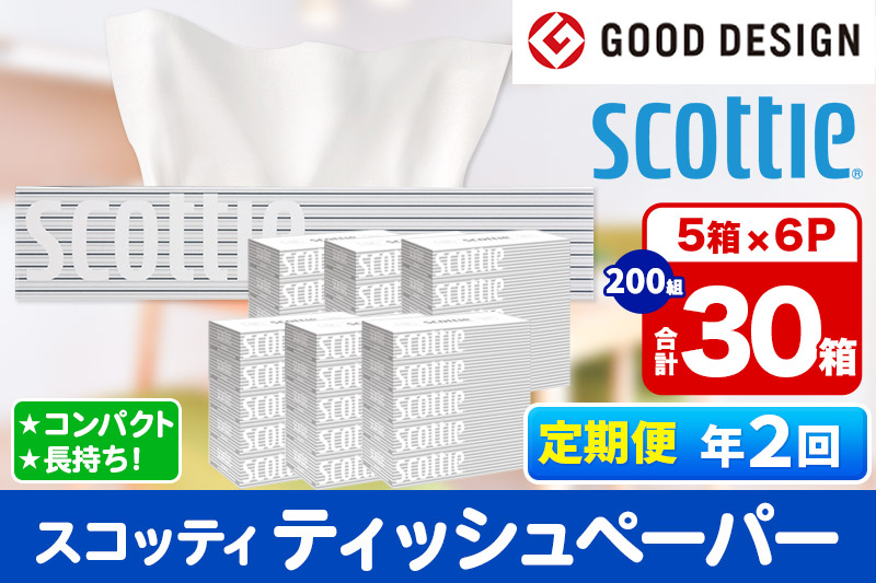 《6ヶ月ごとに2回お届け》定期便 ティッシュペーパー スコッティ 200組 30箱(5箱×6パック) ティッシュ 秋田市オリジナル【レビューキャンペーン中】