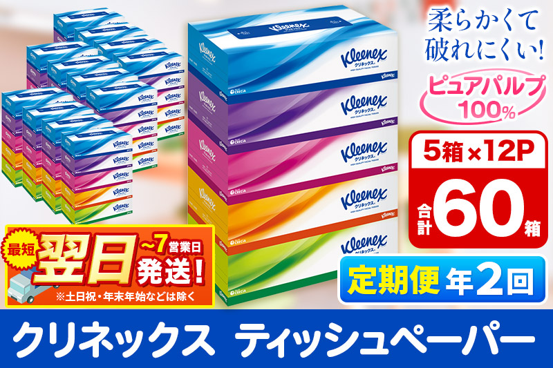 《6ヶ月ごとに2回お届け》定期便 ティッシュ クリネックス ティシュー 5箱×12パック 最短翌日発送【レビューキャンペーン中】