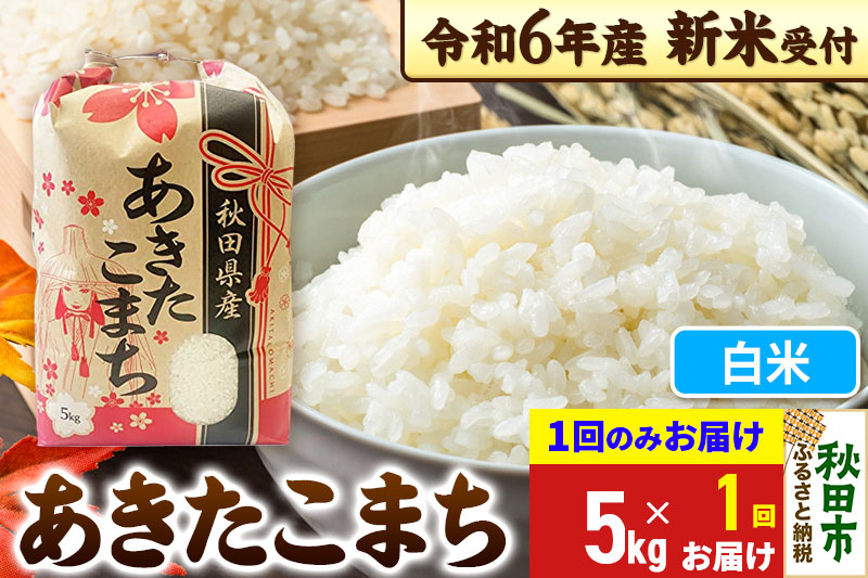 《新米先行受付》あきたこまち 5kg【1回のみお届け】【白米】秋田県産 令和6年産 こまちライン