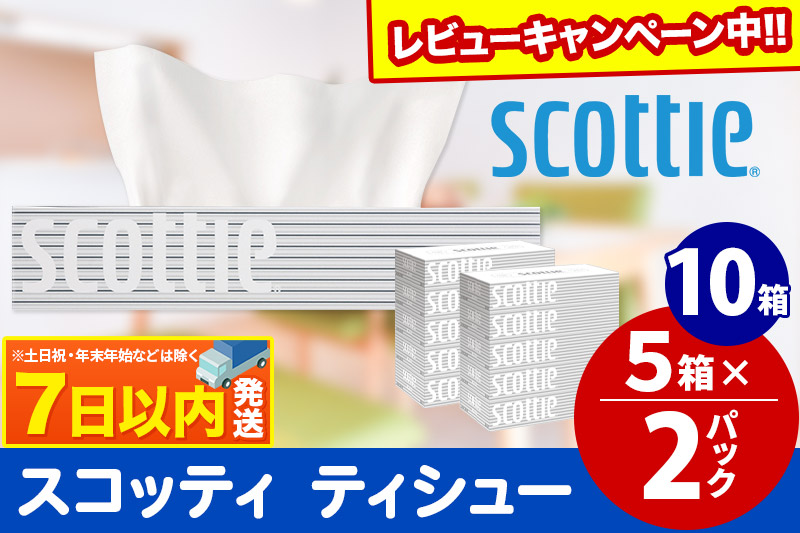 ティッシュペーパー スコッティ 200組 10箱(5箱×2パック) ティッシュ レビューキャンペーン中 秋田市オリジナル