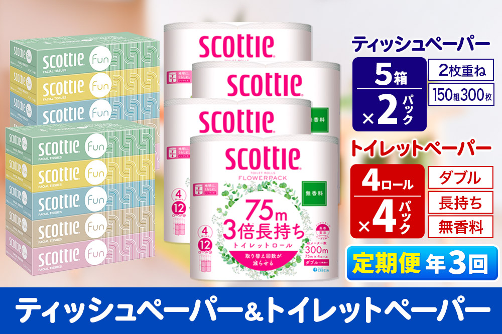 《4ヶ月ごとに3回お届け》定期便 ティッシュペーパー スコッティ ファン 150組 5箱×2パック ＆ スコッティトイレットペーパー ダブル 無香料 3倍長持ち4ロール×4パック 秋田市オリジナル